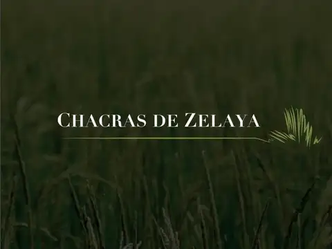 Chacras de Zelaya , Pilar