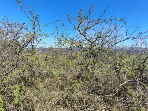 Terreno en Venta en Parque Luján, USD 38.000