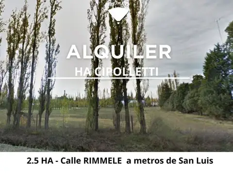 Terreno en Alquiler en Cipolletti, General Roca