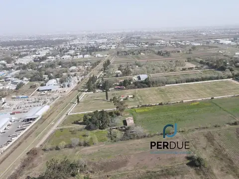 Juana Pueyrredón de Saenz Valiente al 1100