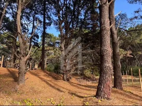 Terreno en Venta de 396,0 m2