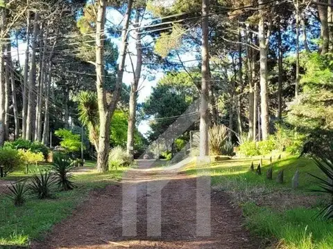 Terreno Lote  en Venta en Costa Del Este, Costa Atlántica, Buenos Aires
