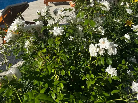 Departamento en Venta en Tigre Centro, USD 120.000