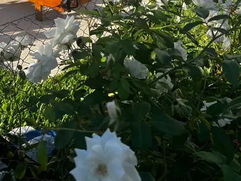 Departamento en Venta con 1 cochera