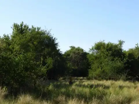 Terreno en Venta de 1000,0 m2