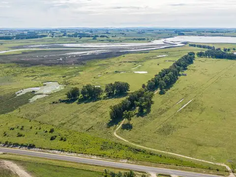 Chacra en venta de 39 Has. sobre Laguna José Ignacio 100