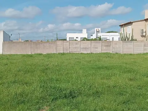 Terreno en calle Natalio Perillo 977