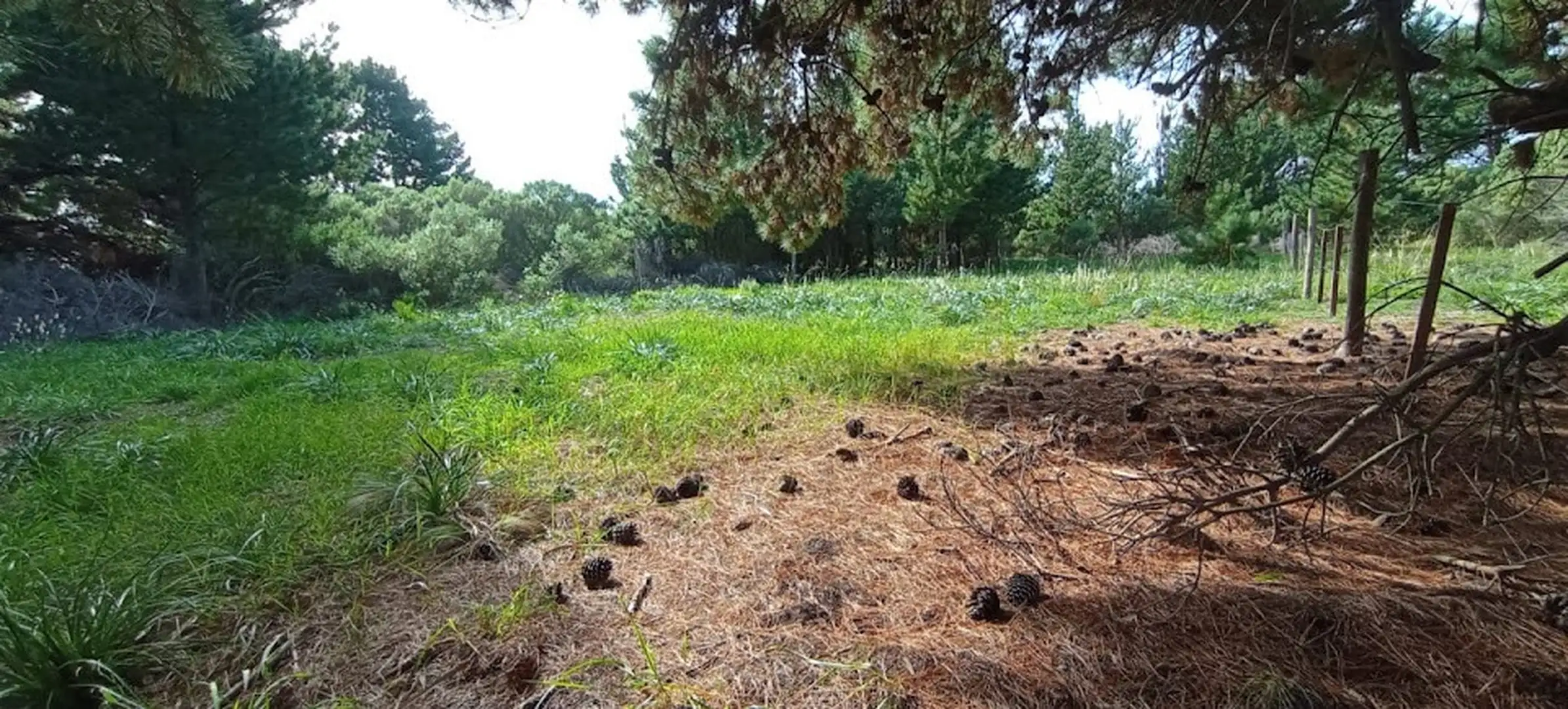 Venta Lote El Marquesado 500m² en reserva forestal