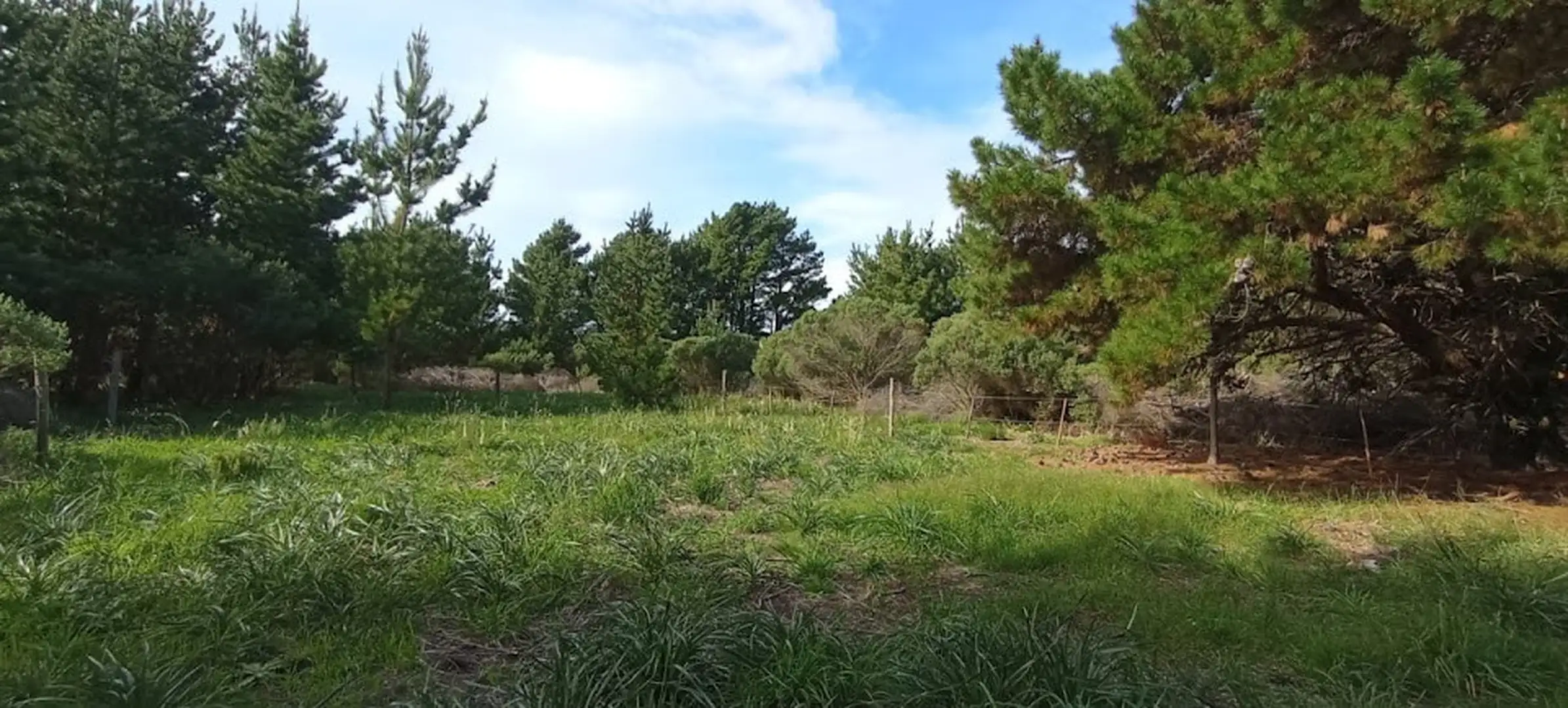 Venta Lote El Marquesado 500m² en reserva forestal
