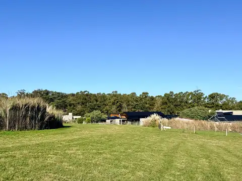 Terreno en Venta 41  mts Fondo