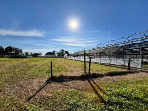 Terreno en Venta de 3800,0 m2