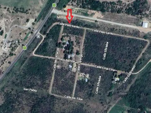 Calle Palo Santo