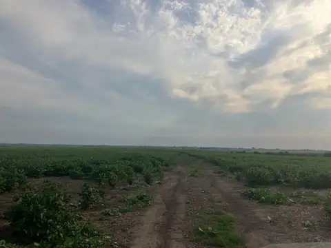 Campo mixto en Crucecita Séptima