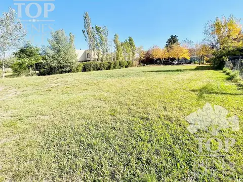 Terreno en Venta de 1000,0 m2