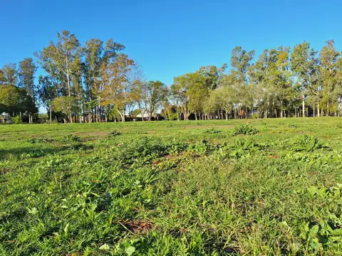 Venta de Lote en José Hernández, La Plata
