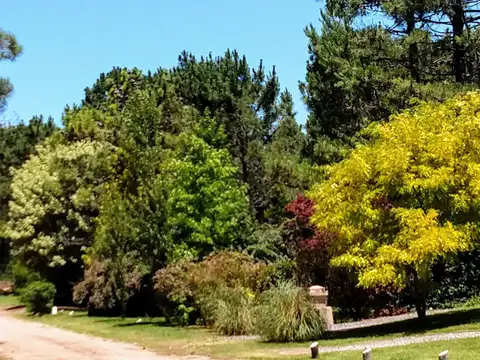 Casa en Alquiler en Carilo, USD 1.200