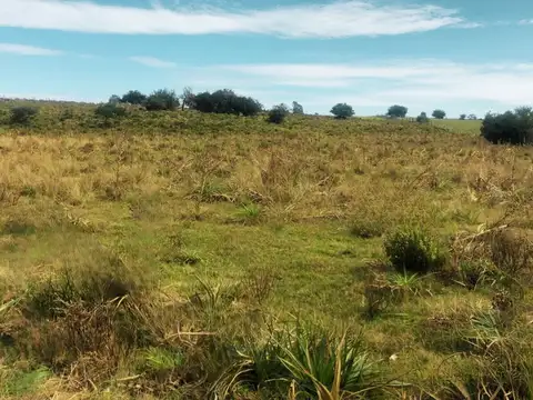 Camino vecinal de los tambos 100