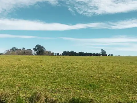 Chacra  7 Hás en Venta en San Carlos con cañada