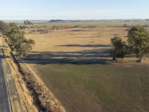 7 HECTAREAS - Sobre Ruta 8 Excelente ubicacion!