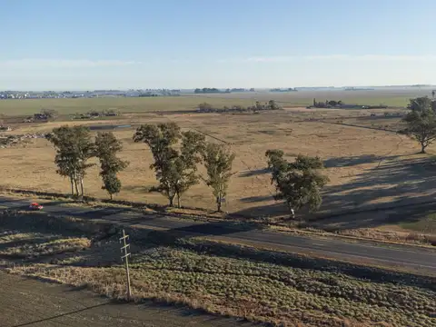 7 HECTAREAS - Sobre Ruta 8 Excelente ubicacion!