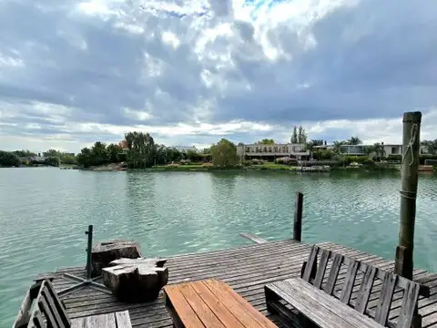 Los chimangos 100