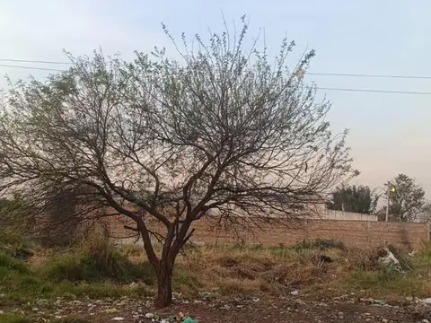 Vendo 2 Terrenos en Resistencia con título y planos