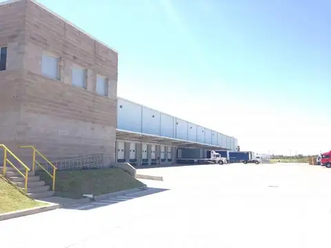 Longchamps - Santiago Baibi al 2000