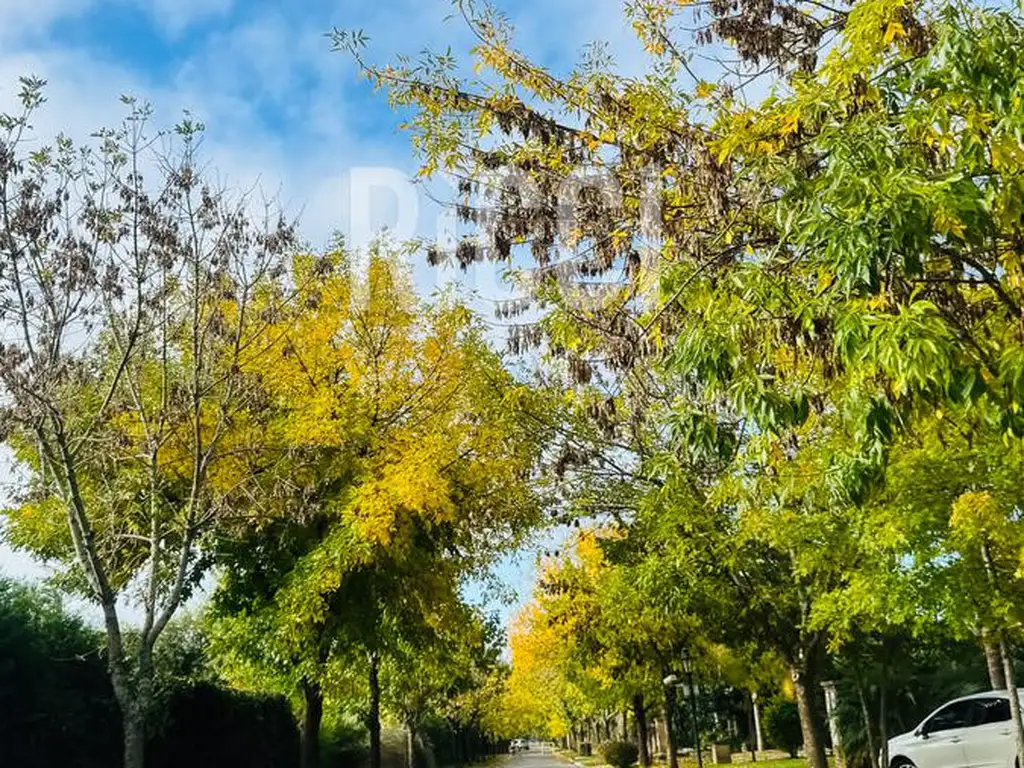 lote en venta en Barrancas de Iraola