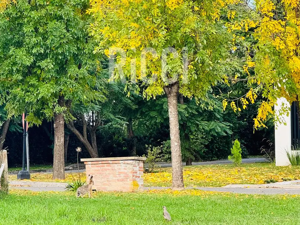 Terreno en Venta - Barrancas de Iraola