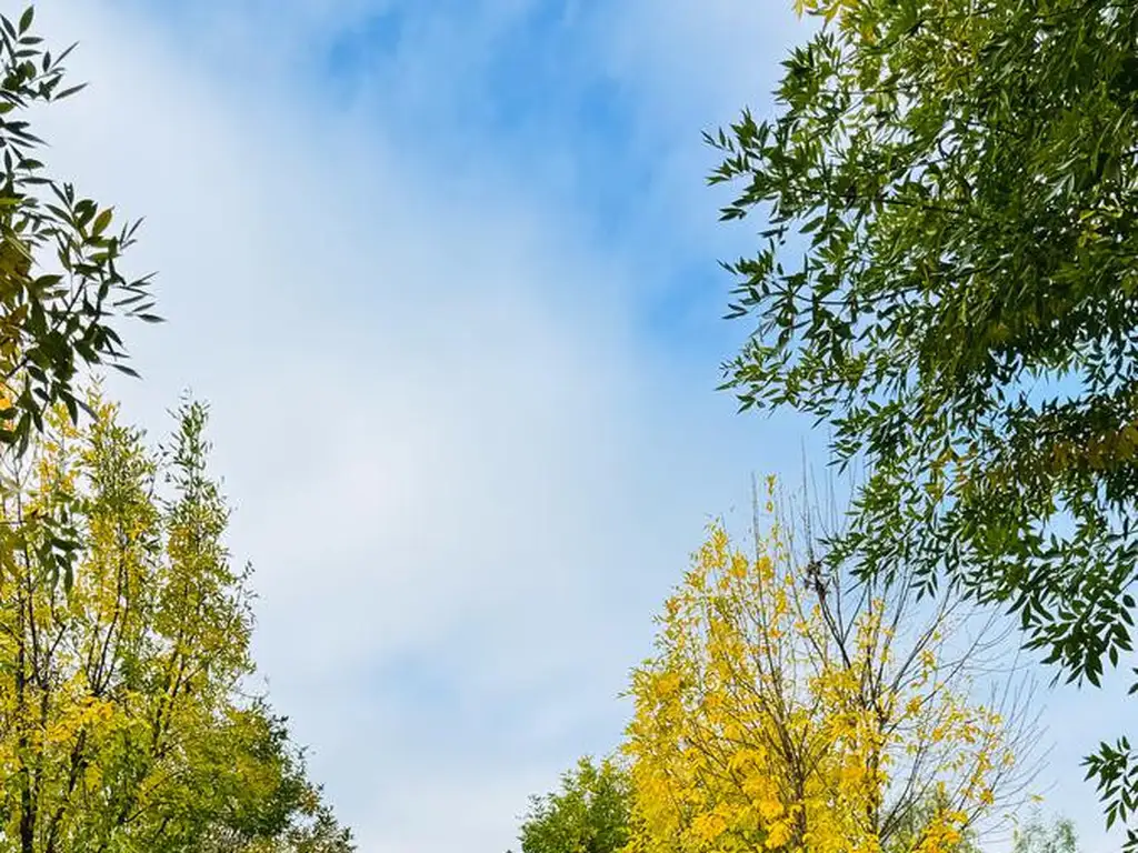 Terreno en Venta Barrancas de Iraola - Foto 14