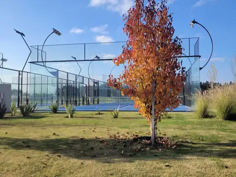 Terreno en Venta 30  mts Fondo