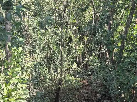 Terreno en Venta de 385,0 m2