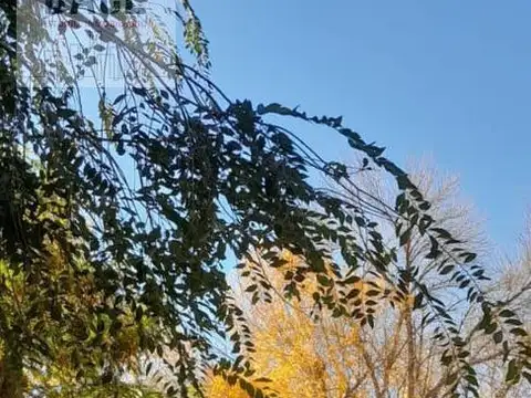 ALQUILER - HERMOSO PETIT CHALET - 3 DORMITORIOS - REFACCIONADO EN CIPOLLETTI.