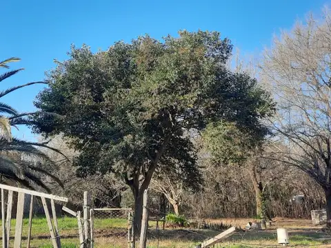 Terreno en Venta 45  mts Fondo