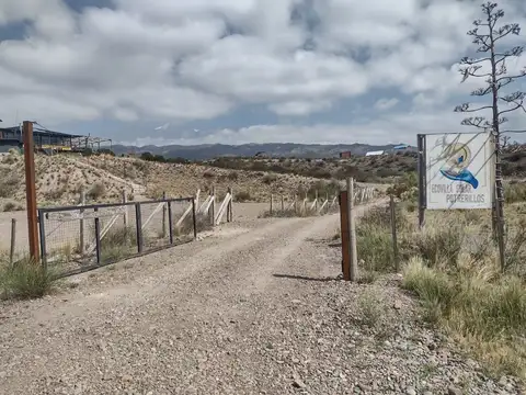 ruta nacional 7