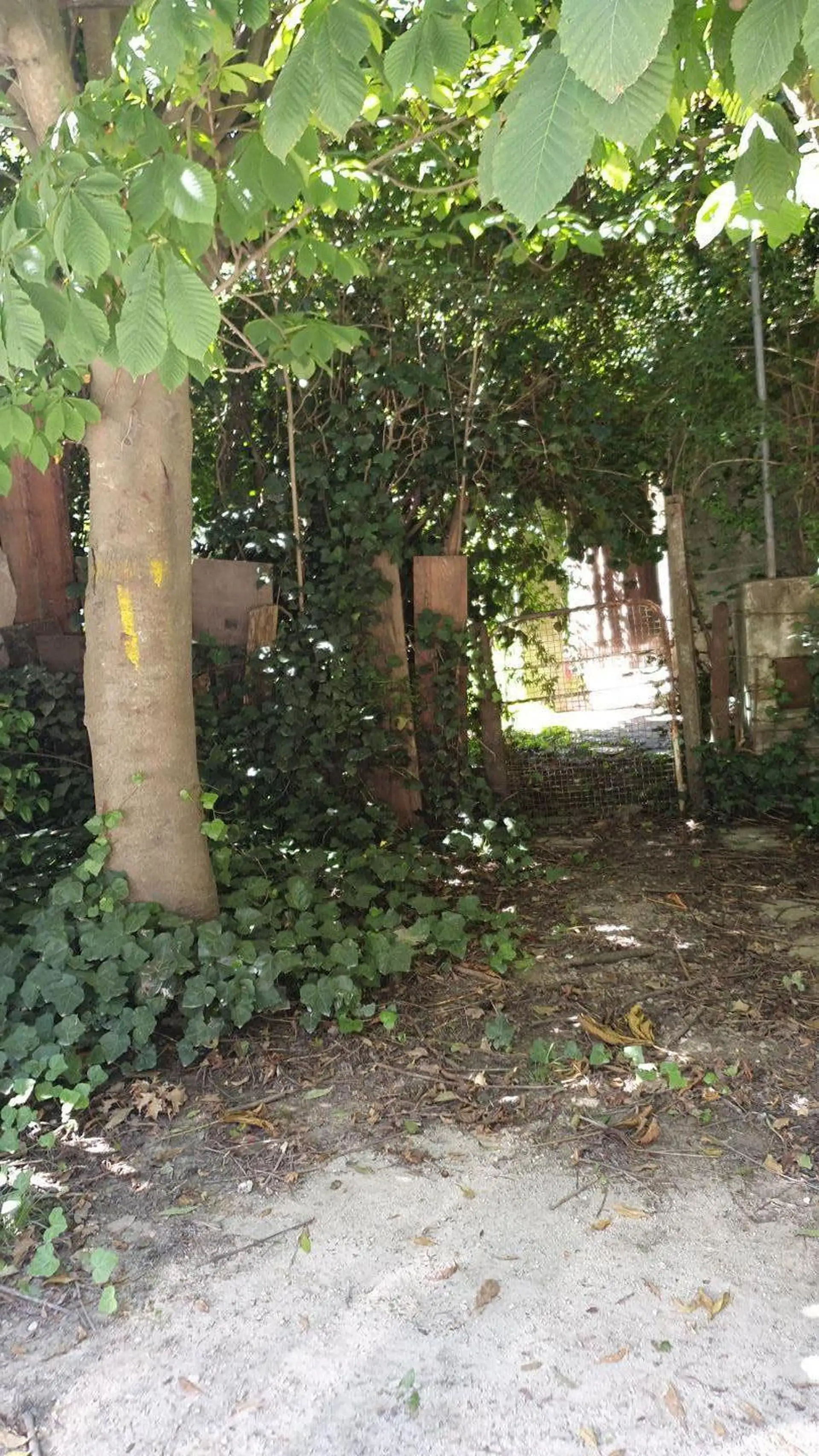 Lote 625m² en Colina Alegre con pequeña construcción