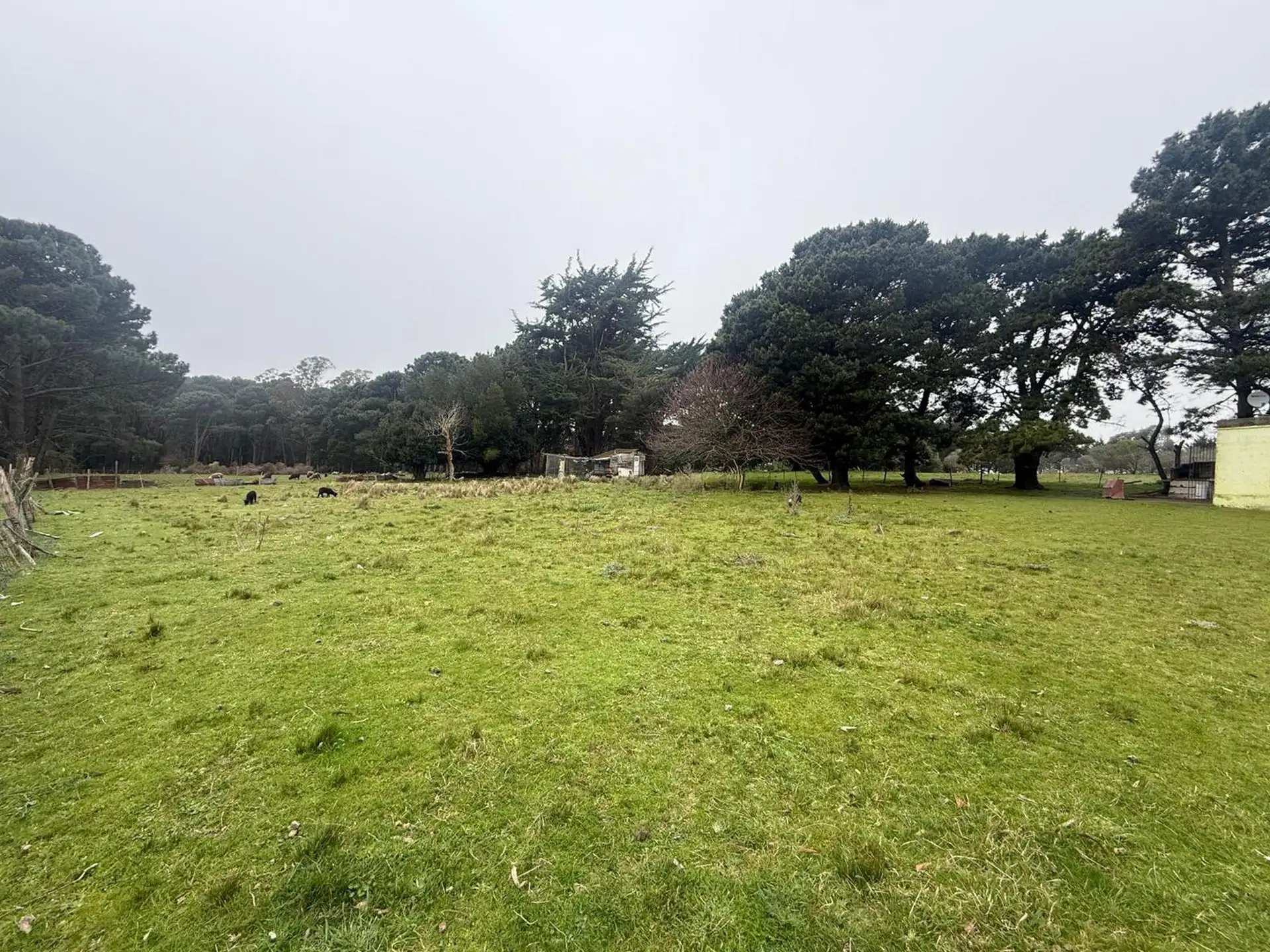 Terreno 4000m² en venta sobre Calle 475, zona sur