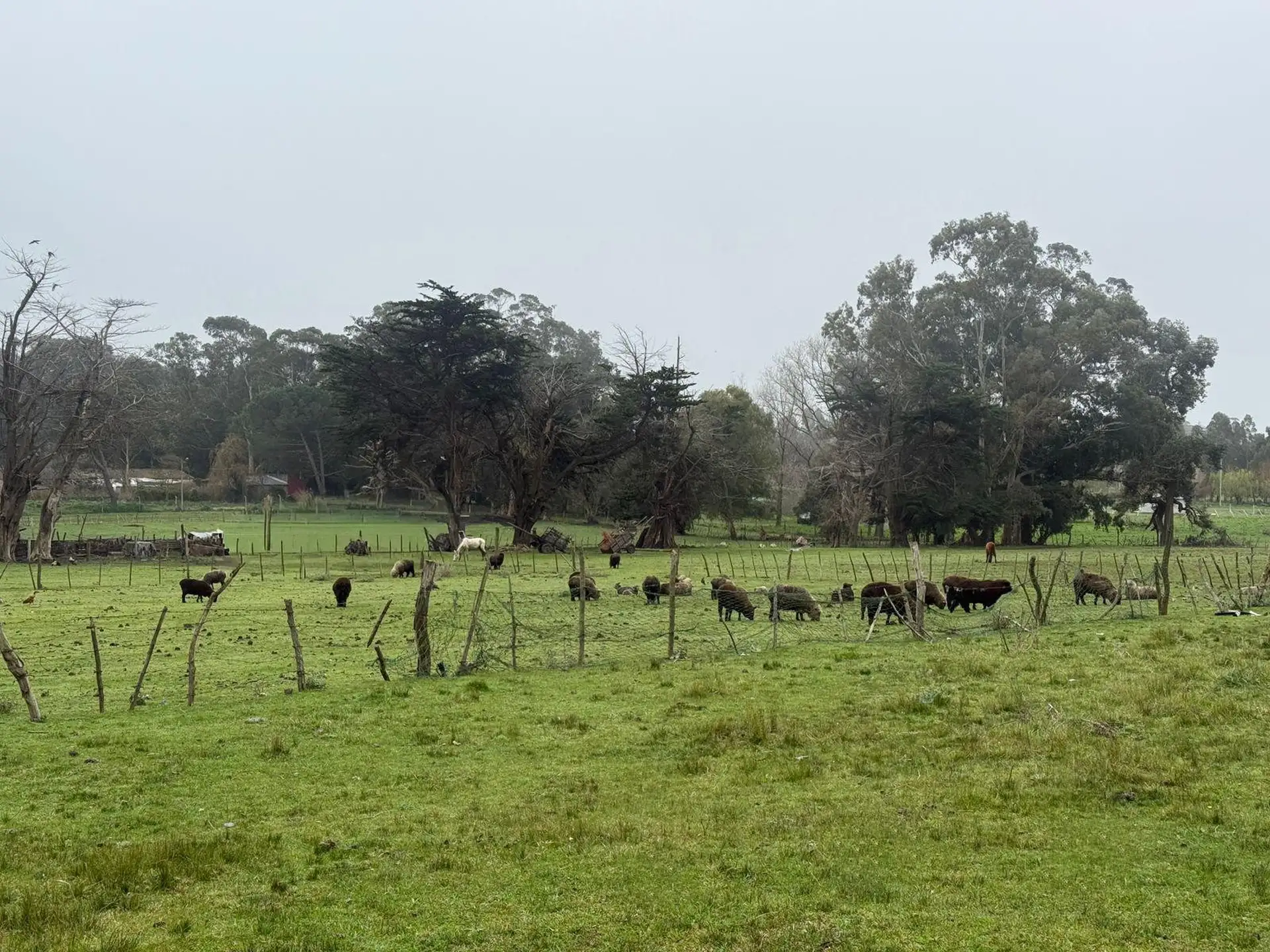 Terreno 4000m² en venta sobre Calle 475, zona sur