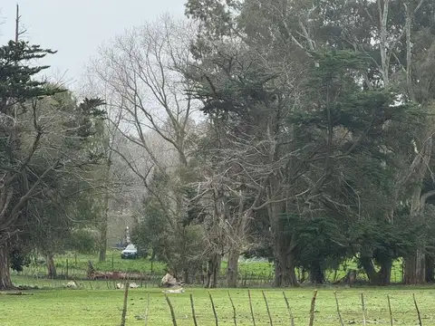 Terreno en Venta en Mar Del Plata, USD 39.900