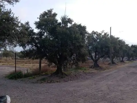 Terreno en Venta de 786,0 m2