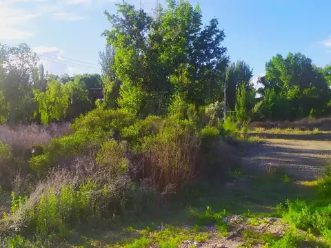 Terreno en Venta en Tunuyan, USD 45.000