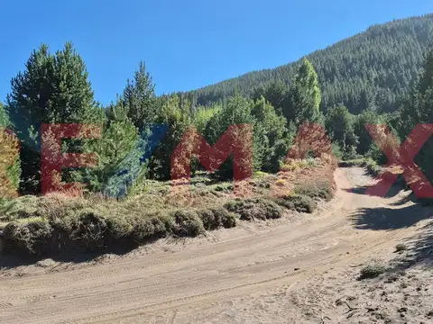 dos lotes comerciales soleados en venta Meliquina