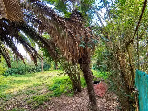 Lote en venta en Villa Elisa