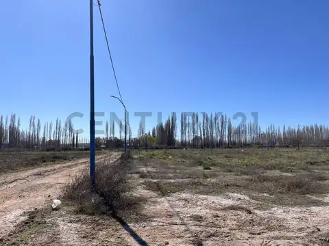 Terreno en Venta en Padre Alejandro Stefanelli, USD 12.000