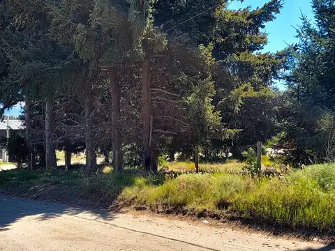 Terreno en Venta de 278,0 m2
