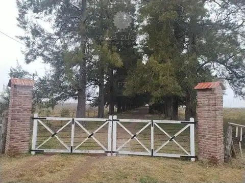 Terreno Campo  en Venta en Berazategui, G.B.A. Zona Sur, Argentina
