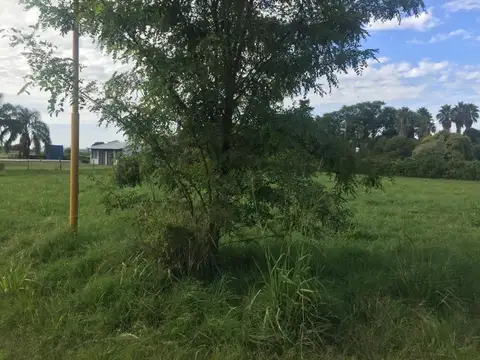 Consultar dirección