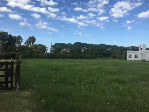 Consultar dirección