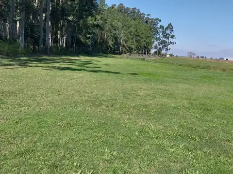 Terreno en Venta de 1000,0 m2