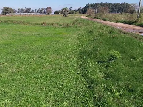 Terreno en Venta en Colonia Carolina, USD 11.500